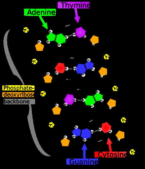 biomolecules chapter 2 3 answer key