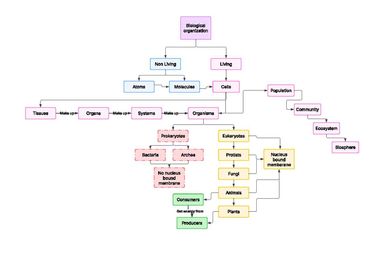 biomolecules concept map answer key