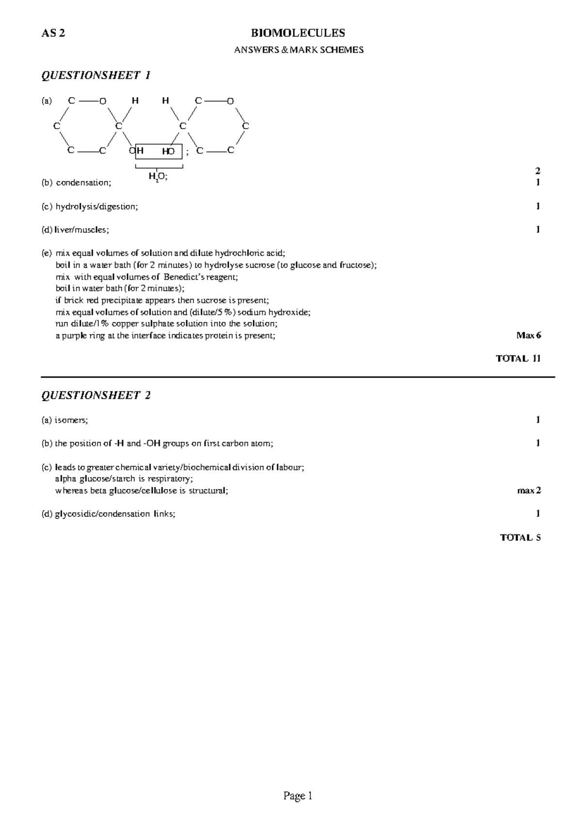 biomolecules practice questions answer key