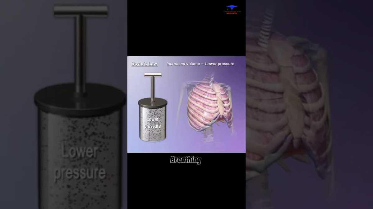 boyles law and breathing process answer key