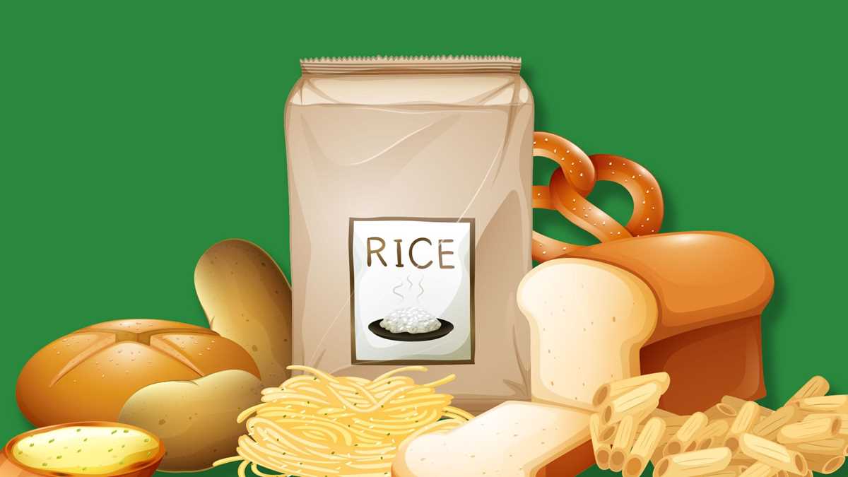 carbohydrates the sugars that feed us answer key