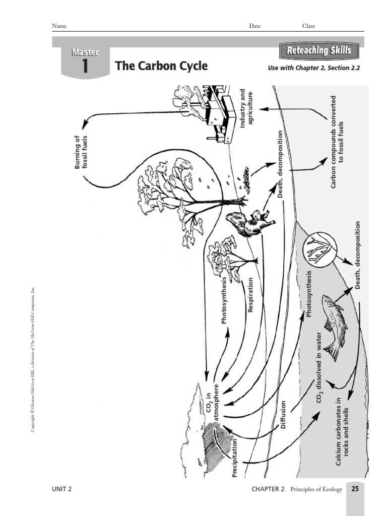 carbon cycle worksheet fill in the blanks answer key