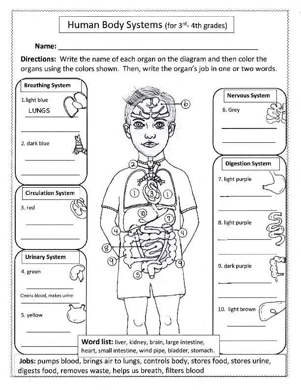 carson dellosa human body grades 4 6 answer key carson dellosa human body grades 4 6 answer key