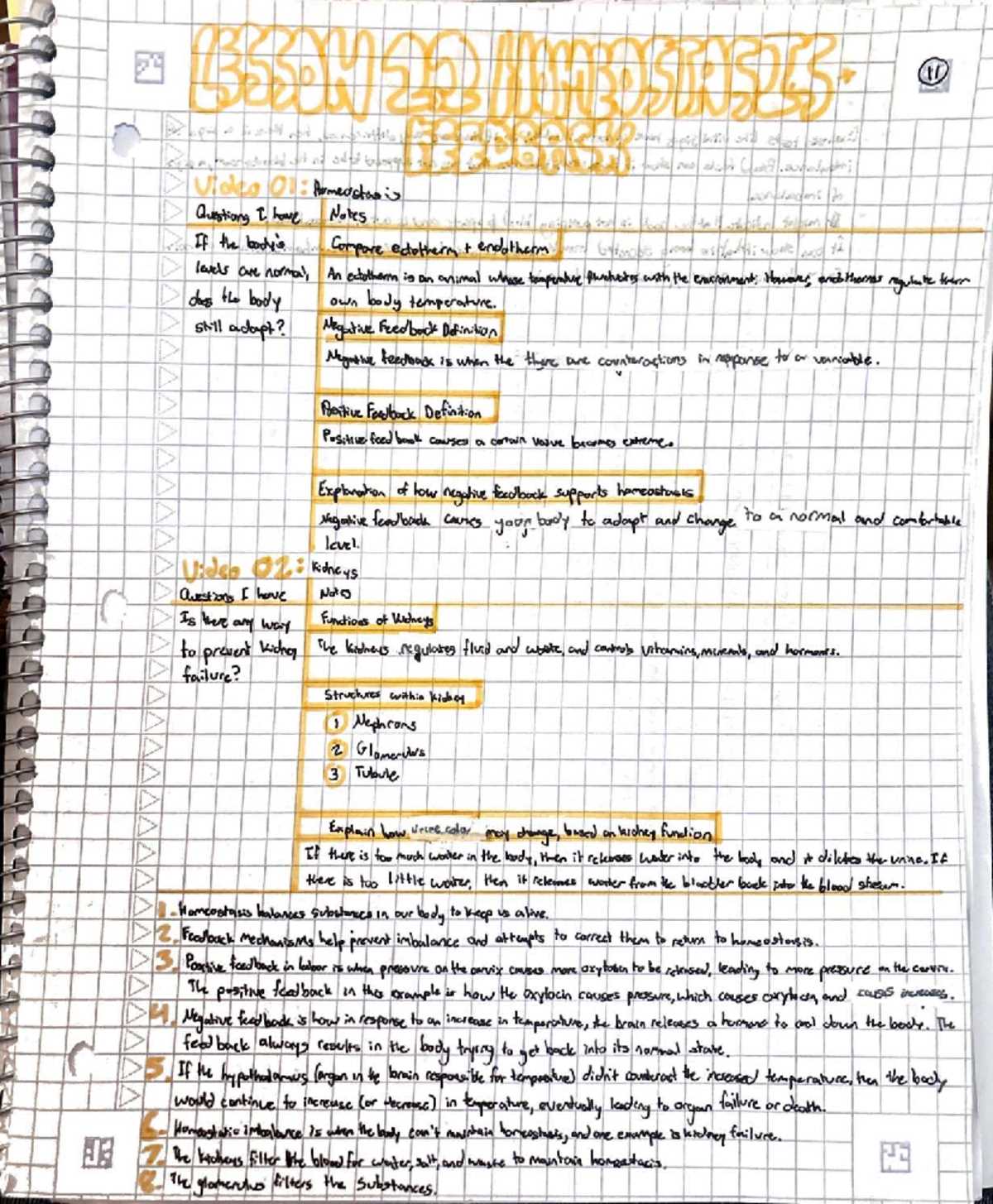 case study eating at a different trophic level answer key