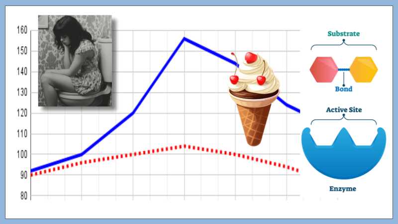 case study understanding lactose intolerance answer key