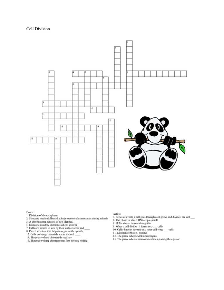 cell division review packet with wordsearch answer key