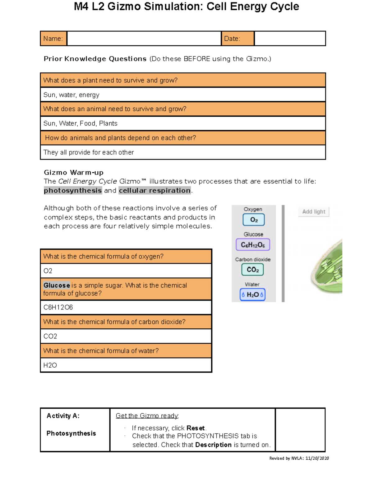 cell energy lab answer key