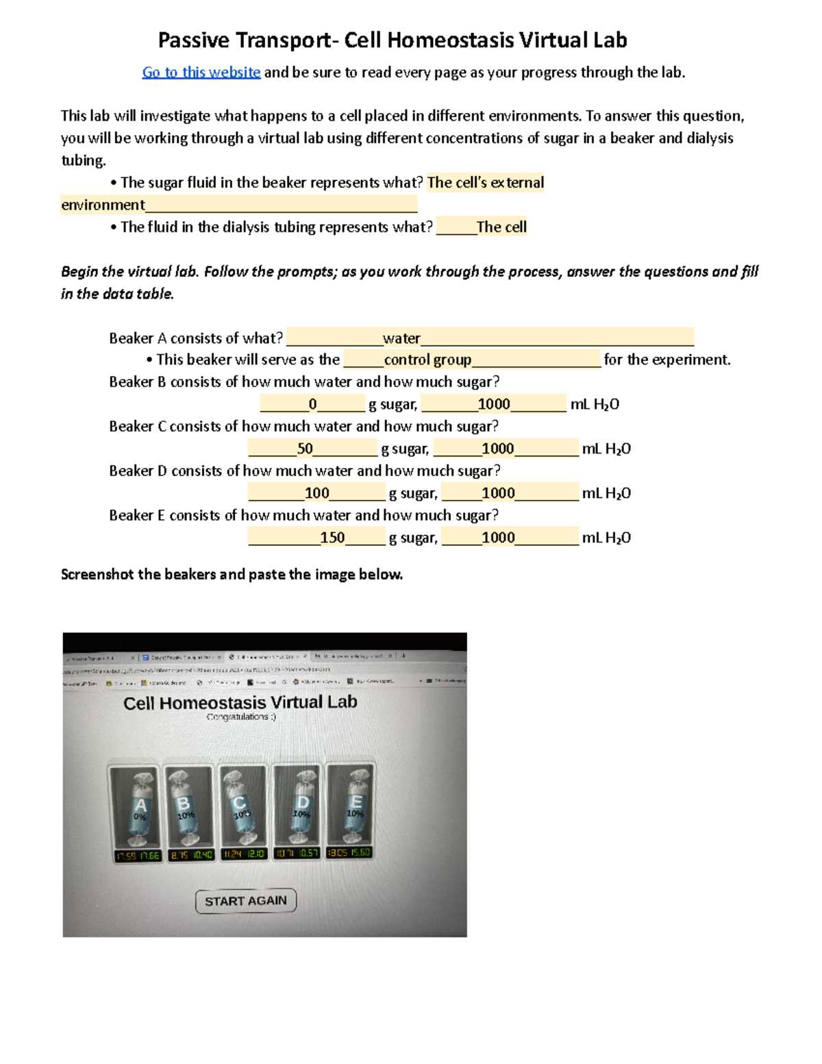 cell homeostasis virtual lab answer key graph