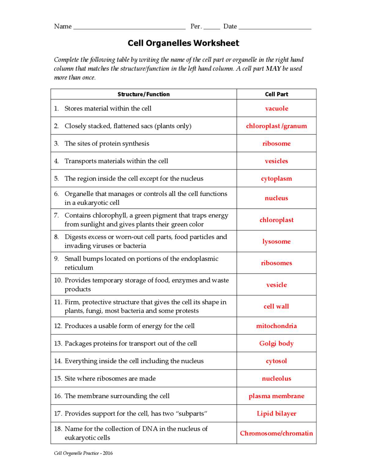 cell organelles and their functions worksheet answers key