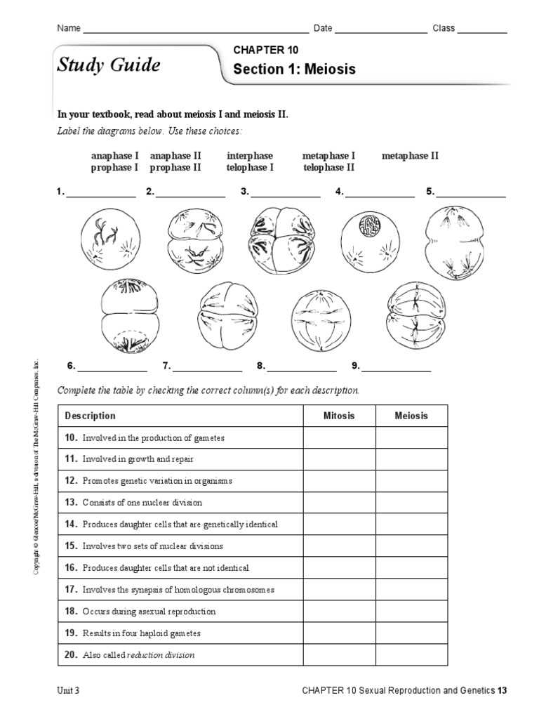 cell reproduction study guide answer key