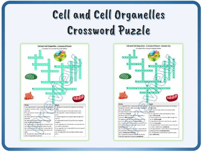 cell riddles life science answer key
