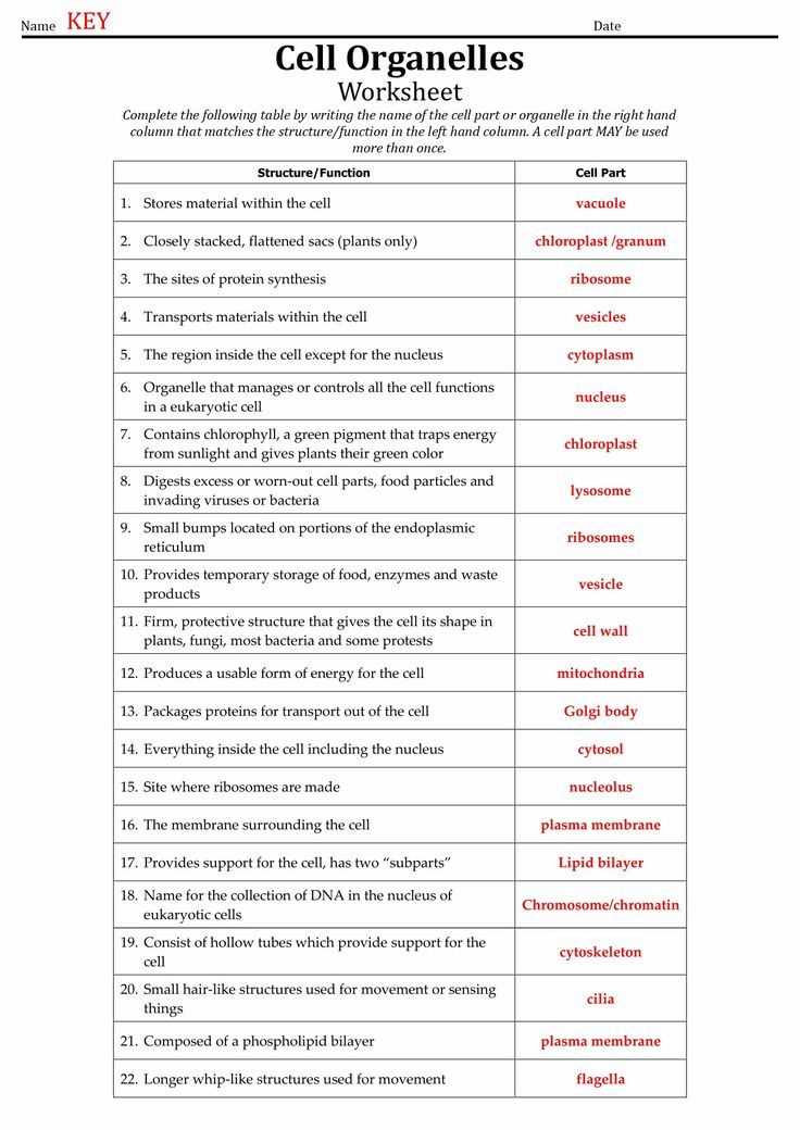 cell structure and function study guide b answer key