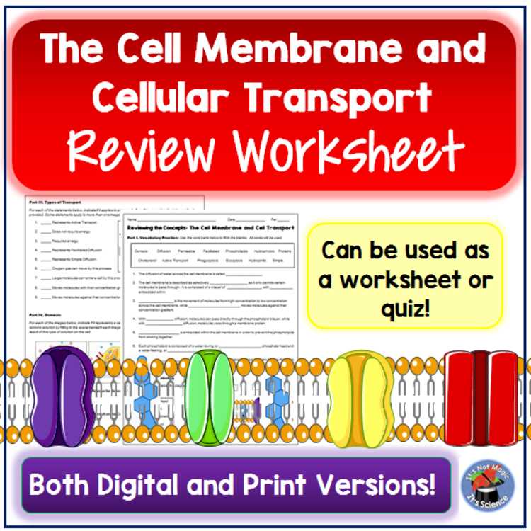 cell transport review worksheet answers key