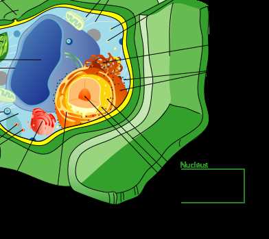 cells and heredity interactive science answer key chapter 3