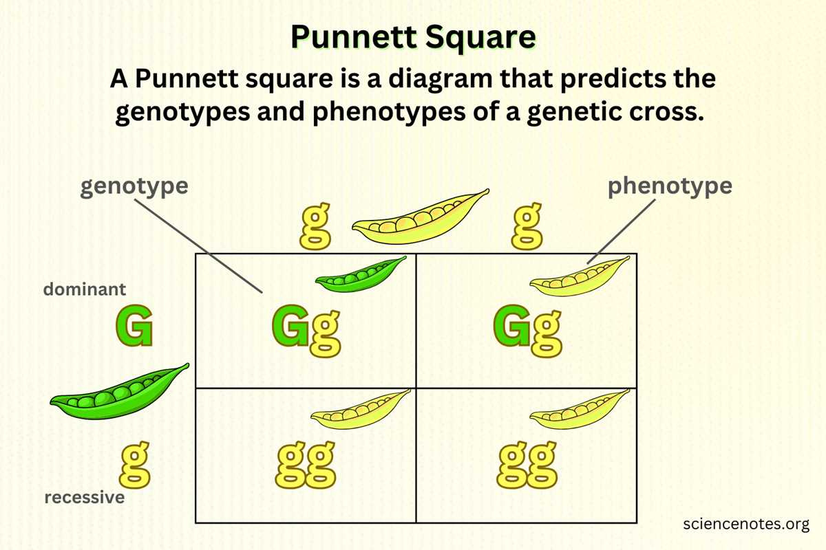 cells and heredity interactive science answer key chapter 3