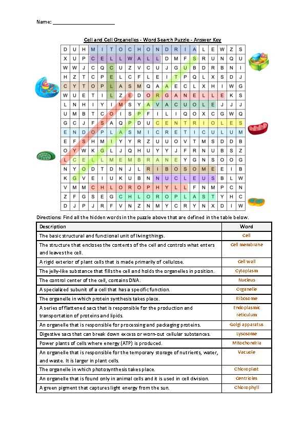 cells and organelles packet answer key cells and organelles packet answer key