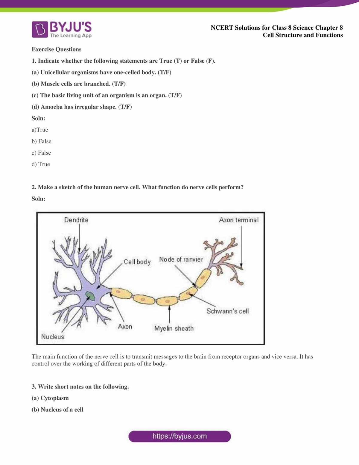 cells cell structure and function review sheet answer key cells cell structure and function review sheet answer key