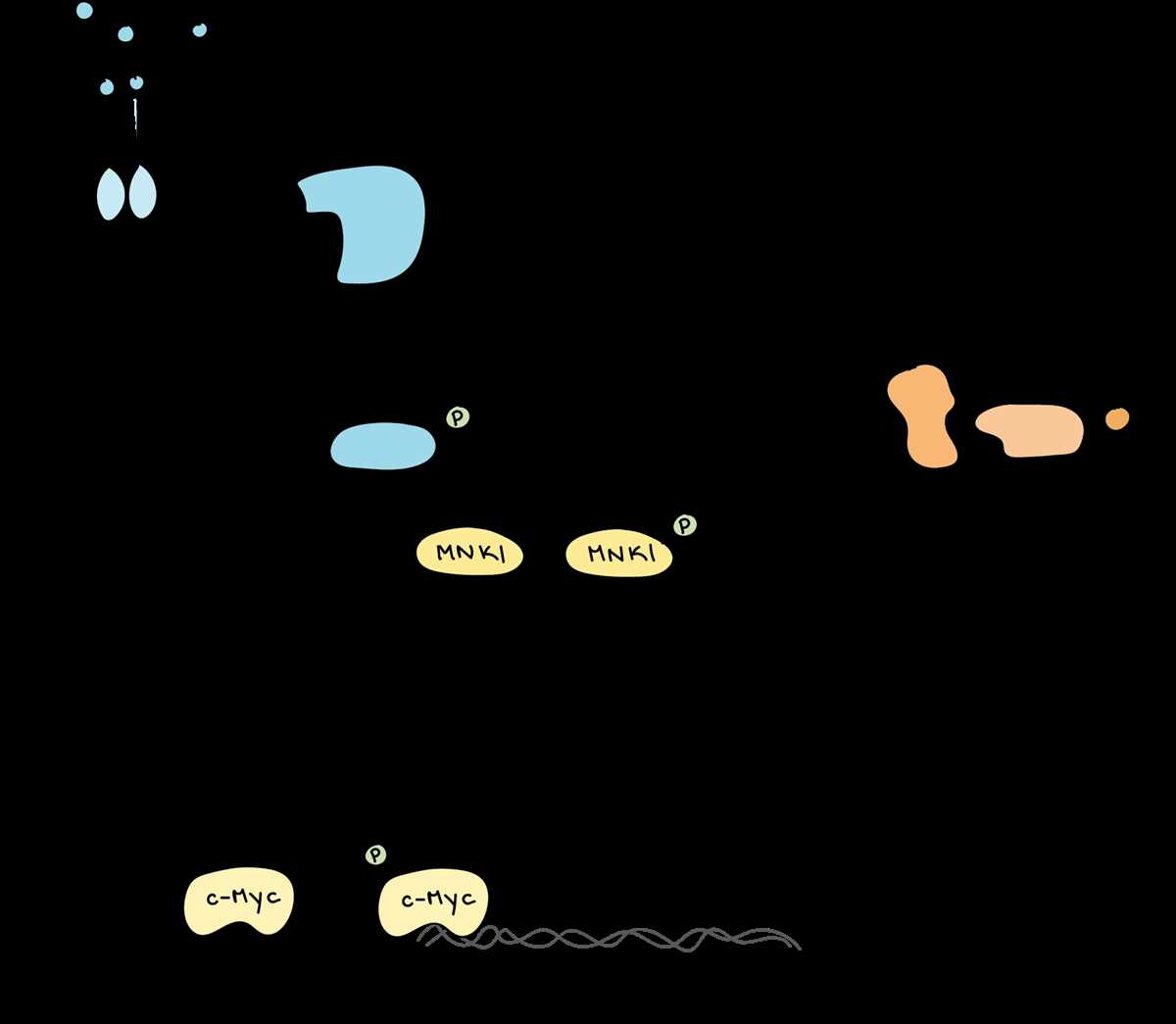 cellular processes energy and communication answer key cellular processes energy and communication answer key