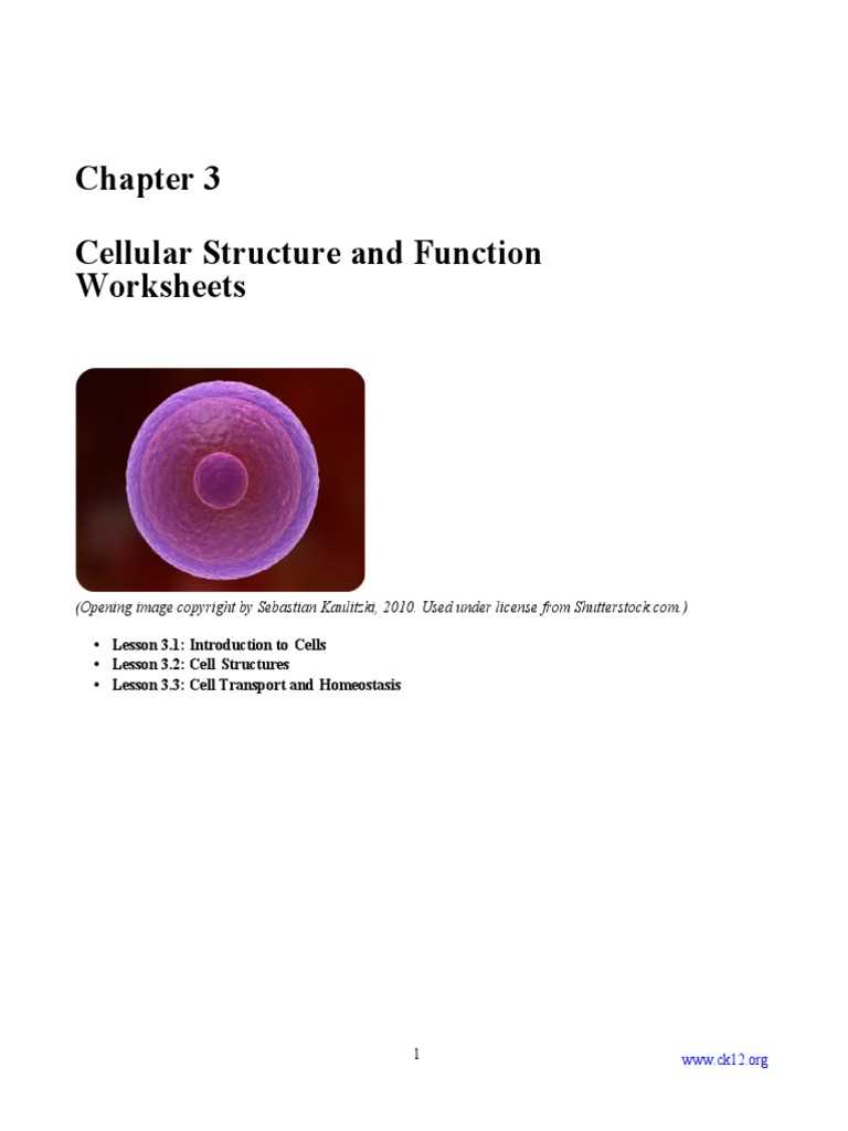 cellular structure and function worksheets answer key