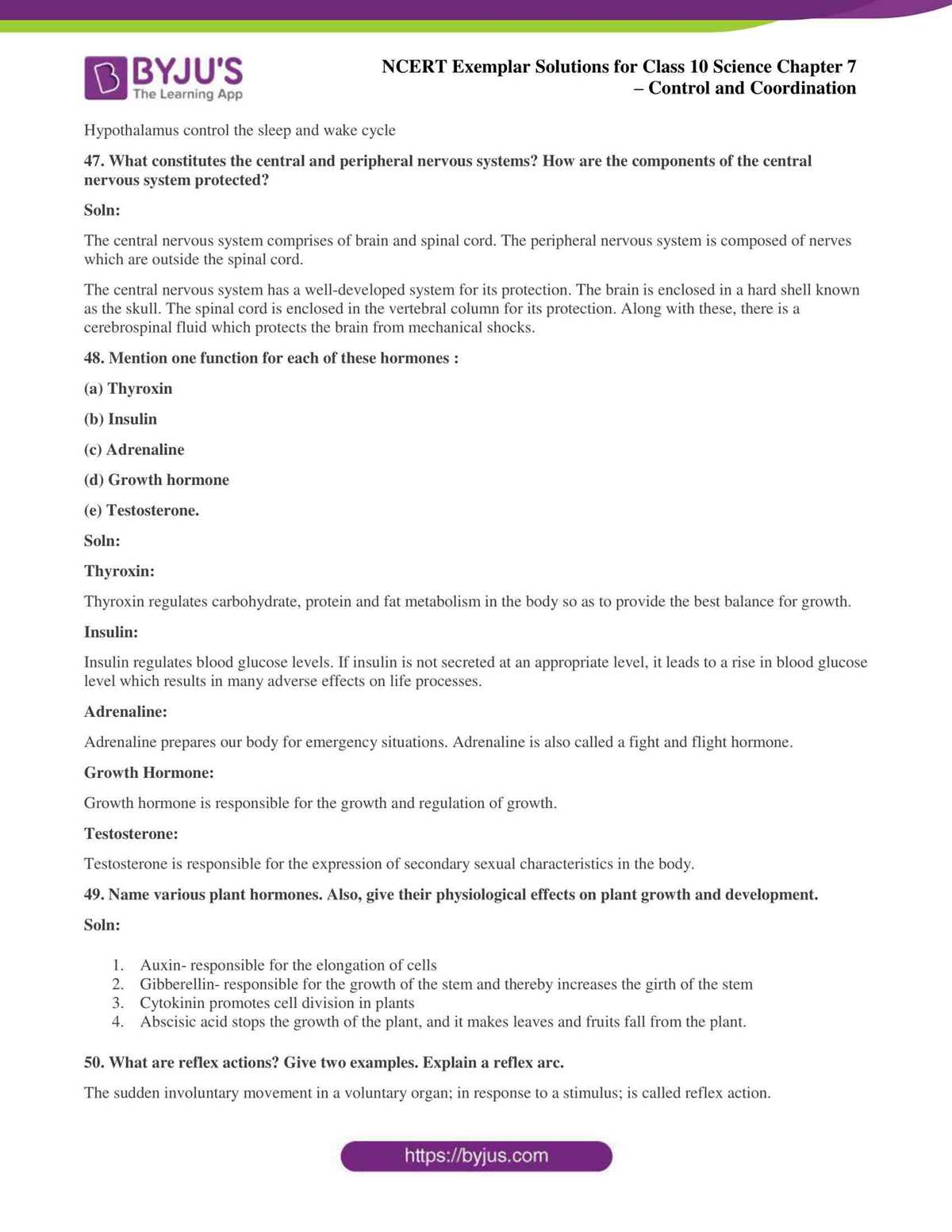 ch 7 the nervous system packet answer key ch 7 the nervous system packet answer key