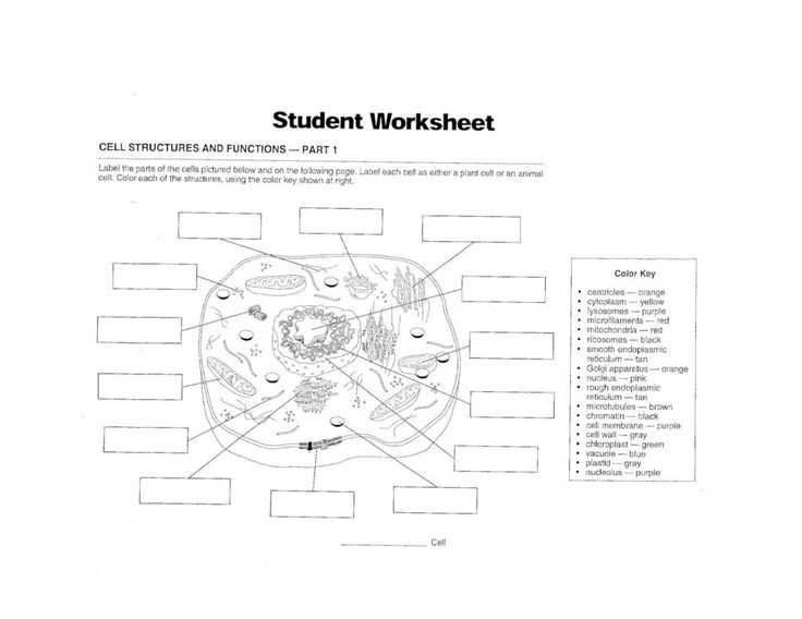 chapter 1 cell structure and function answer key