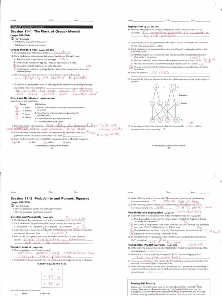 chapter 14 1 human heredity answer key