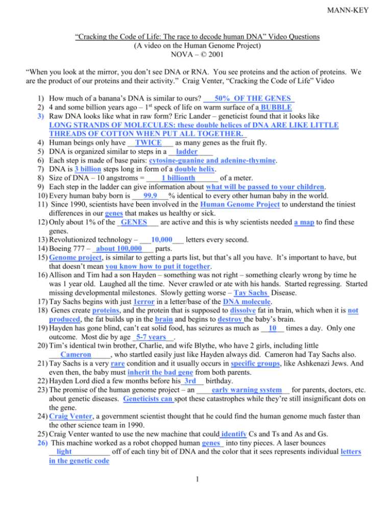 chapter 14 the human genome worksheet answer key
