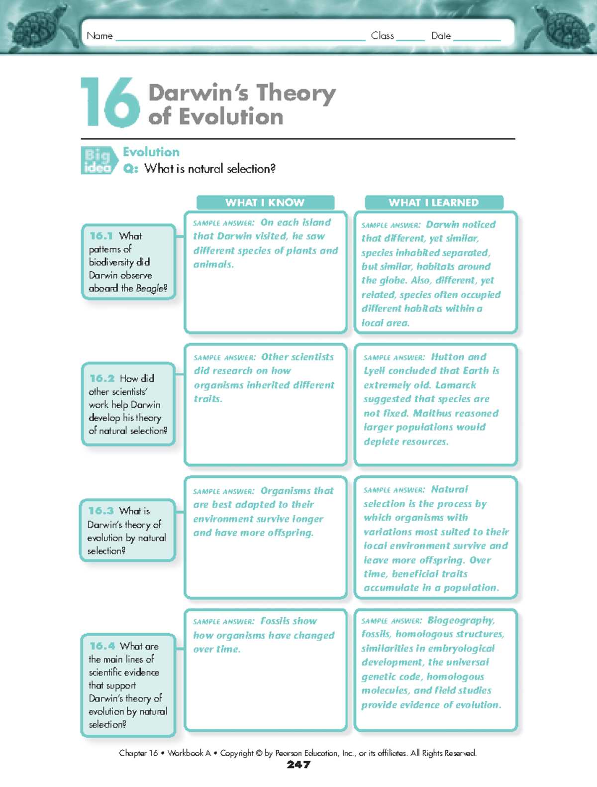 chapter 16 evolution of populations study guide answer key