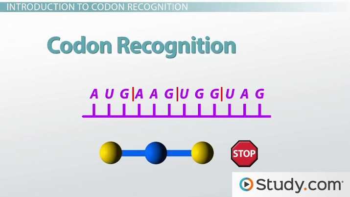 chapter 18 regulation of gene expression reading guide answers key