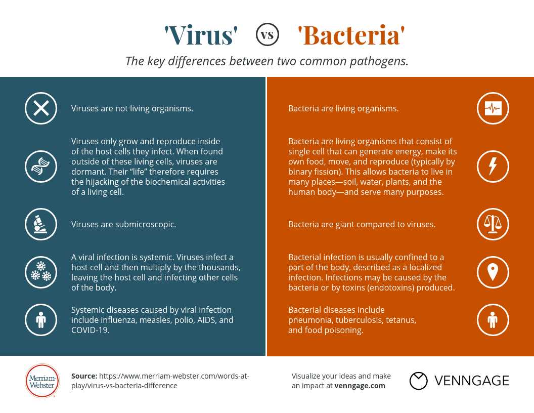 chapter 18 viruses and bacteria answer key