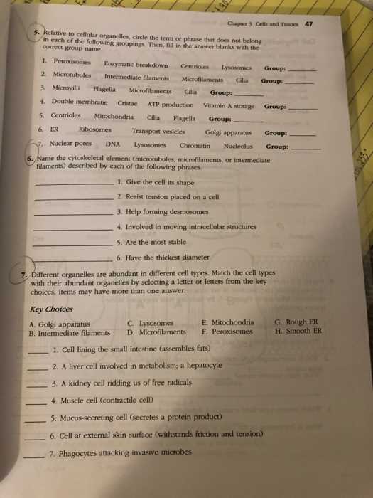 chapter 3 cells and tissues answers key chapter 3 cells and tissues answers key