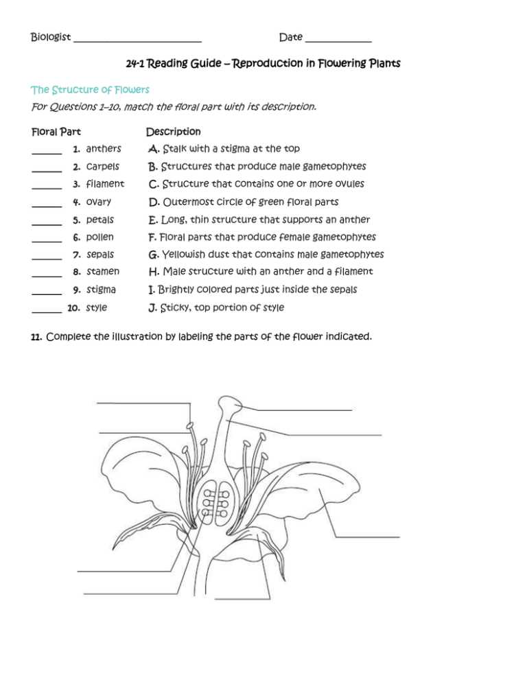 chapter 38 angiosperm reproduction and biotechnology reading guide answer key