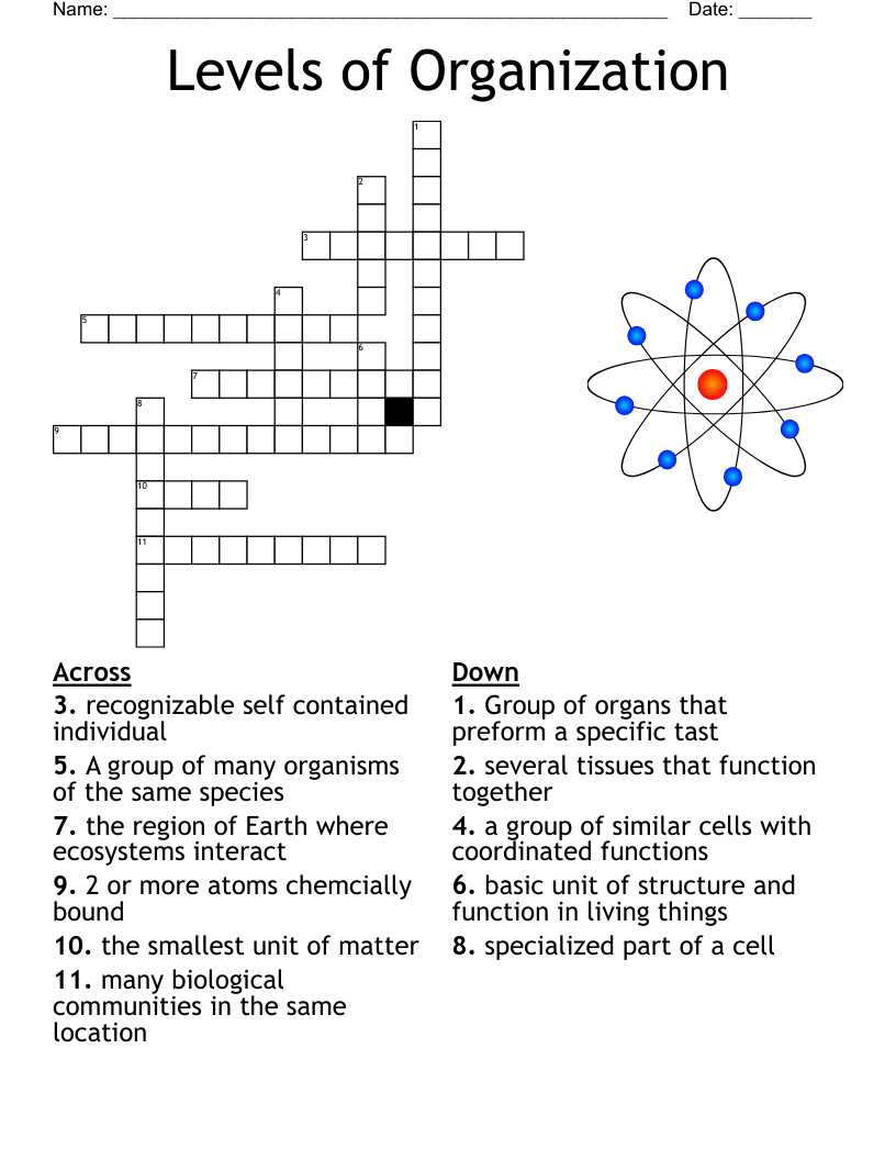 chapter 4 the organization of life answer key