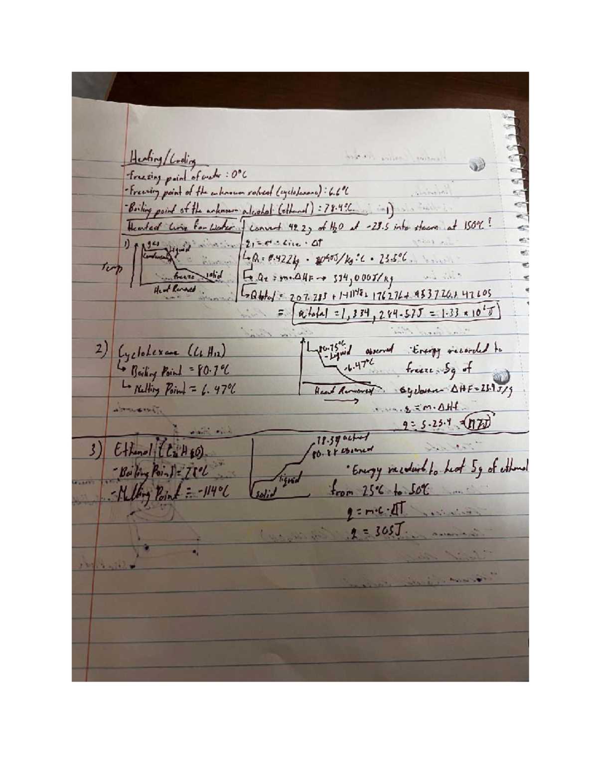 chasing coral video questions answer key