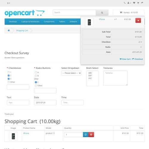 checkouts answer key