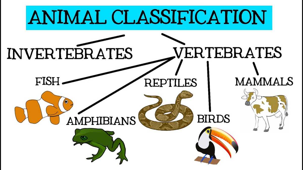 classifying sharks using a dichotomous key analysis answers