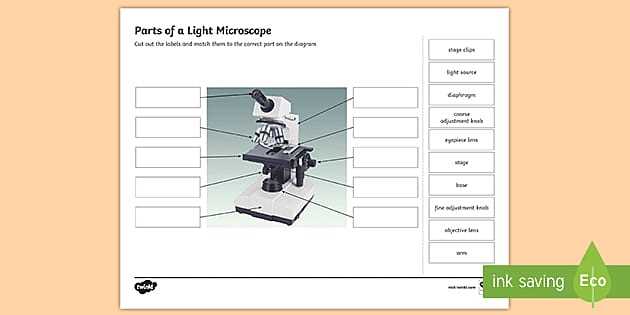 color the microscope parts worksheet answer key