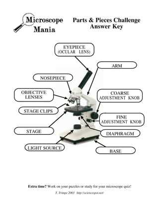 color the parts of the microscope answer key
