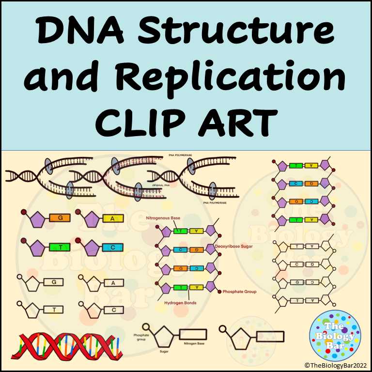 concept covered dna structure answer key