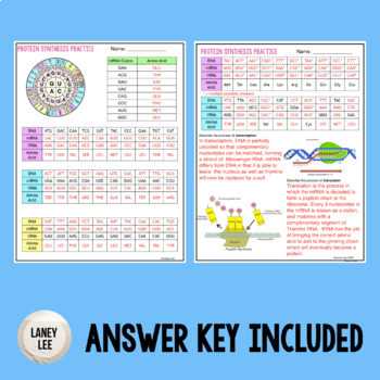 concept covered protein synthesis answer key