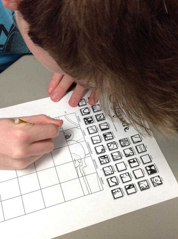 conjugarte worksheet answer key