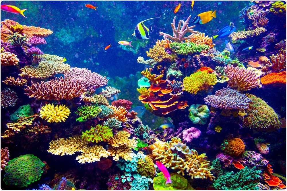 coral reefs and climate change reading science answer key