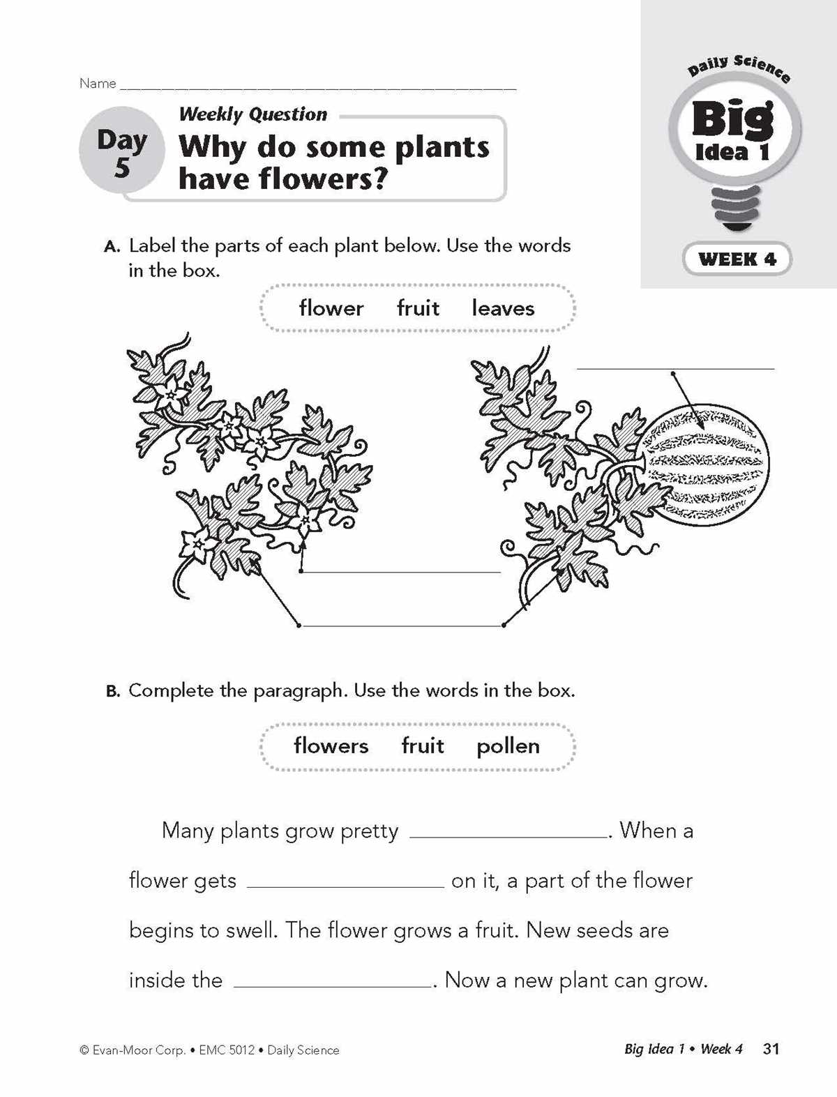 daily science grade 5 answer key