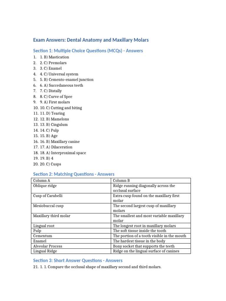 data set 2 dentition answer key