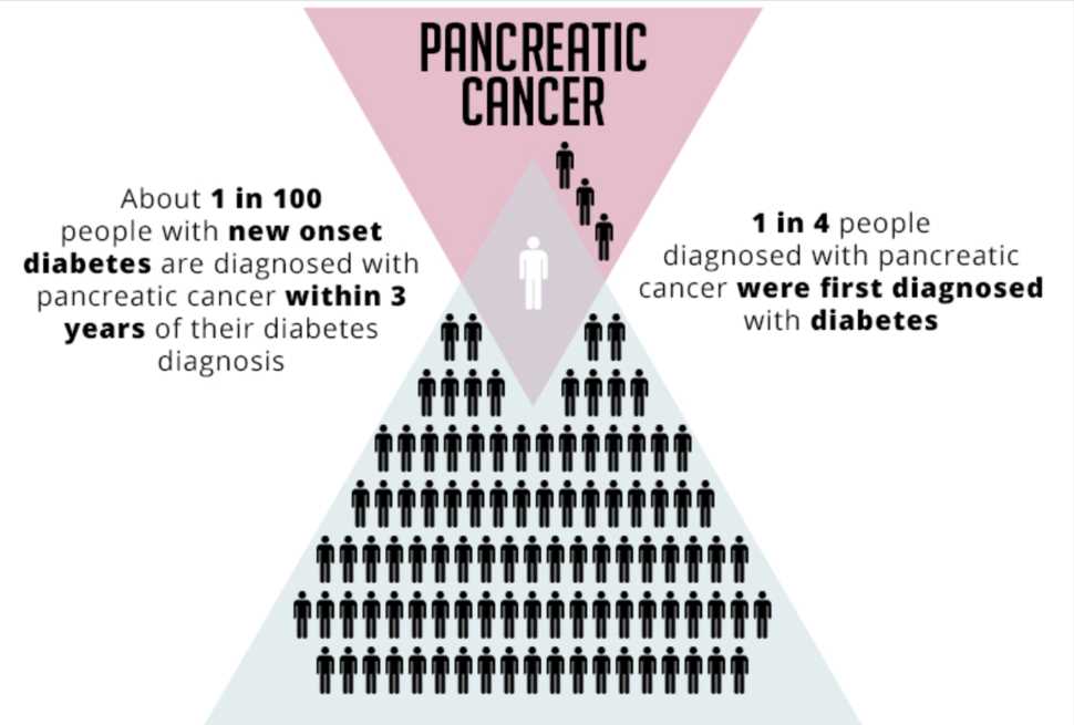 diagnosing diabetes science take out answer key diagnosing diabetes science take out answer key