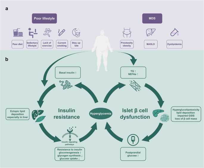diagnosing diabetes science take out answer key diagnosing diabetes science take out answer key