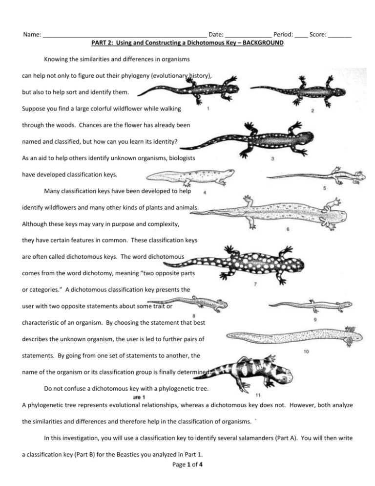 dichotomous key practice answer key