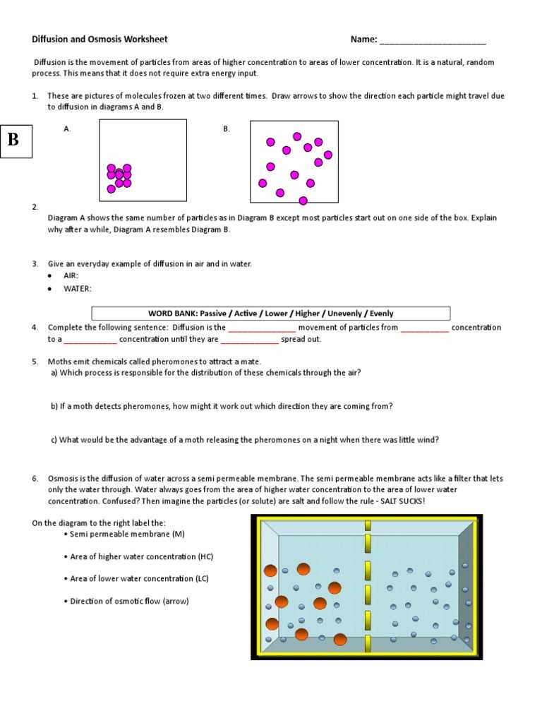 diffusion and osmosis problems biology 6.0 answer key