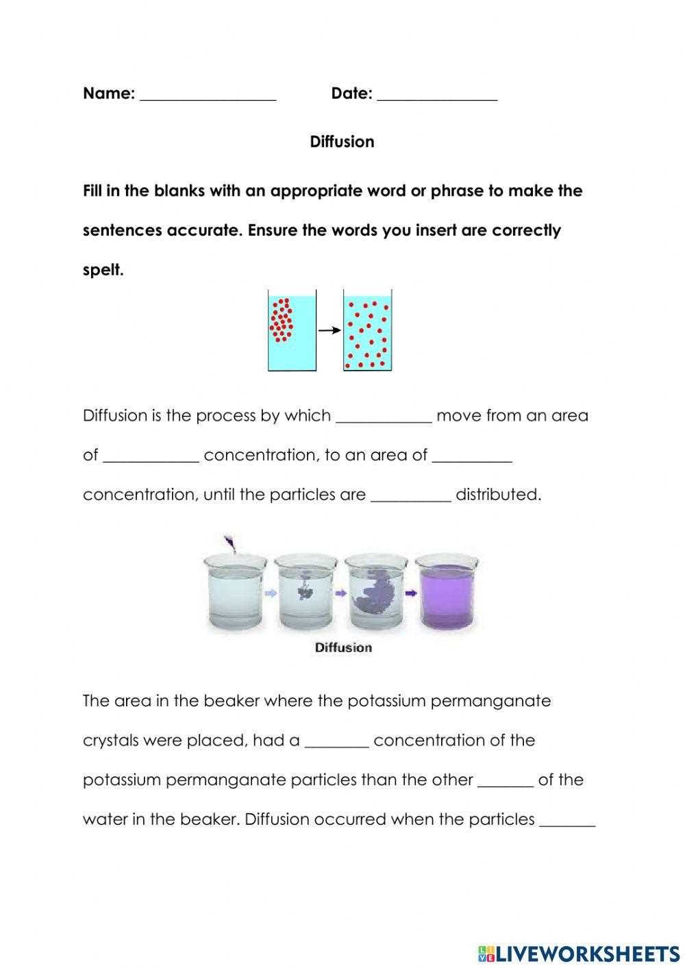 diffusion practice worksheet answer key