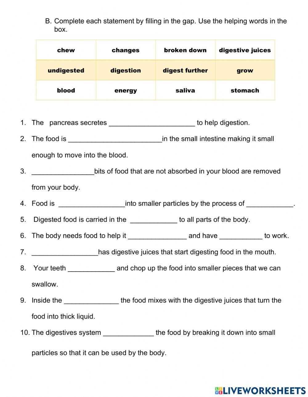 digestion worksheet answer key